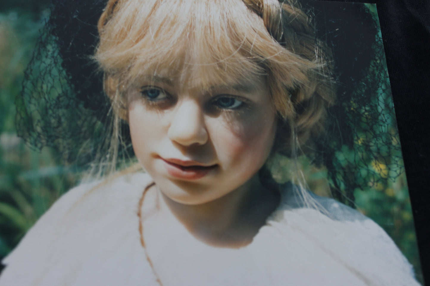 MAJA von Rotraud Schrott