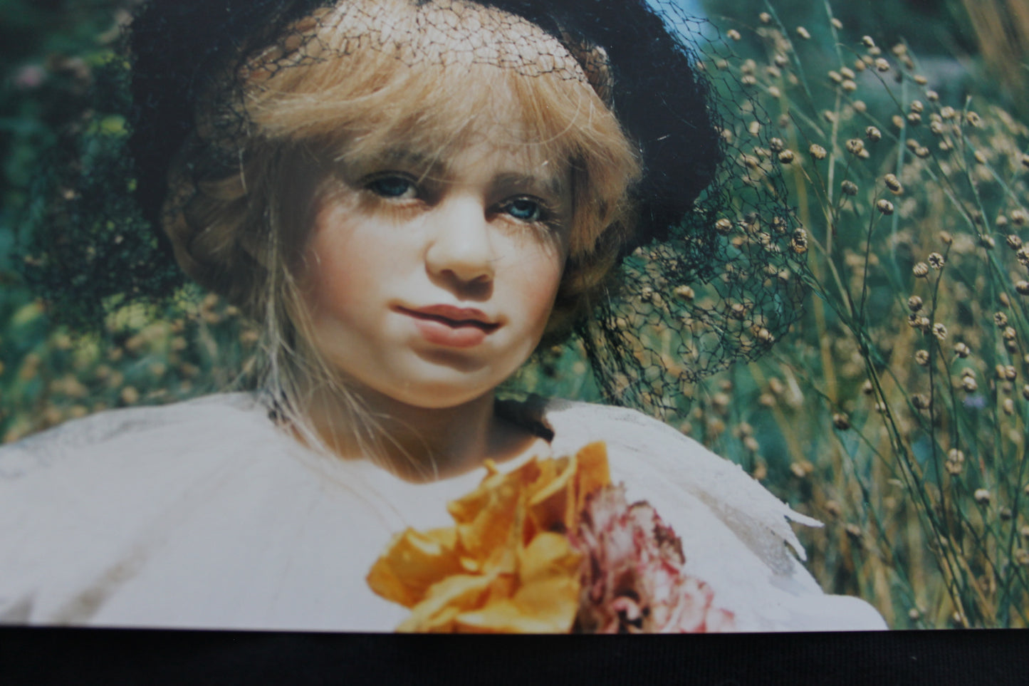 MAJA von Rotraud Schrott