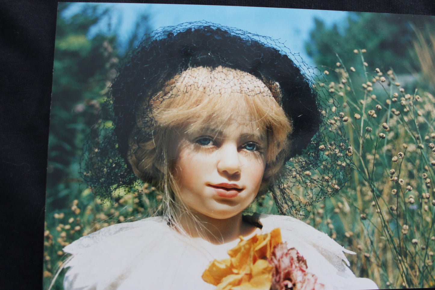 MAJA von Rotraud Schrott